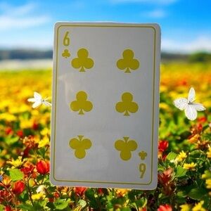 3/$25 Christian Dior 6 of Clubs Yellow Playing Card in Protective Case